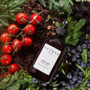 Home Spray Tomato Leaf